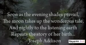 100+ Beautiful Moon Captions for Instagram Moon Captions for Different Moods and Occasions