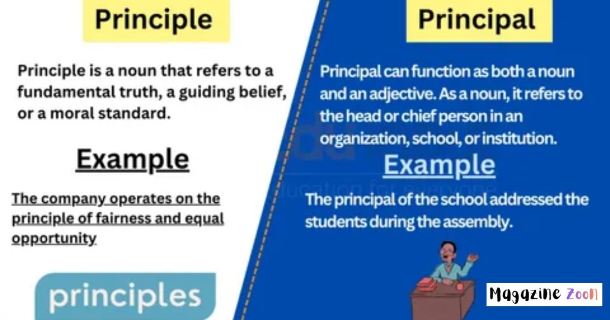 Principal vs Principle Examples in Sentences