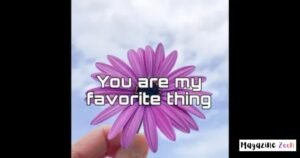 60+ Favorite Song Captions for Instagram Song Captions for Travel, Parties & Night Out